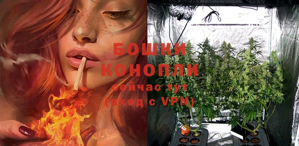 бошки Костерёво