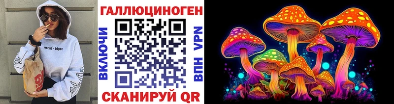 Купить где  Апшеронск  Псилоцибиновые грибы мухоморы 